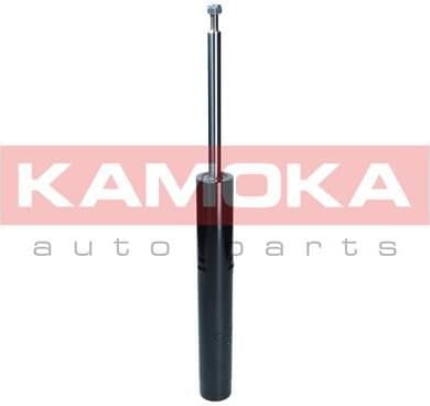 Shock Absorber 2001178