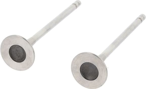 Exhaust Valve 551724B - image 3