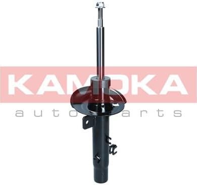 Shock Absorber 2000580