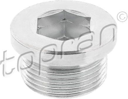 Screw Plug, automatic transmission casing 118 930