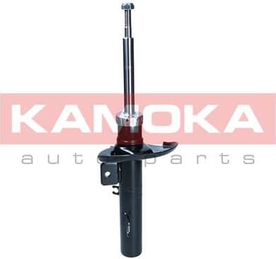 Shock Absorber 2001281
