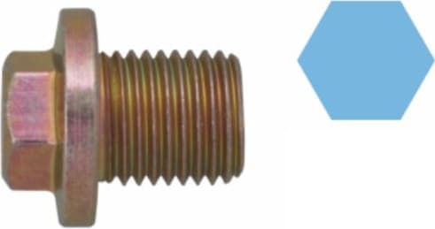 Screw Plug, oil sump 220111S - image 3