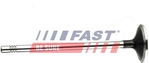 Exhaust Valve FT50132