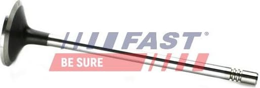 Intake Valve FT50133