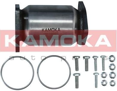 Catalytic Converter 8015085