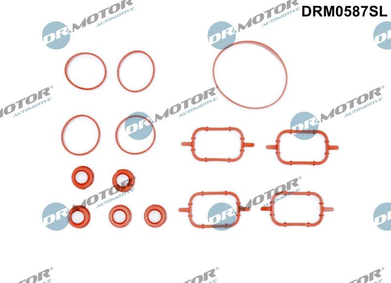 Gasket Set, intake manifold DRM0587SL