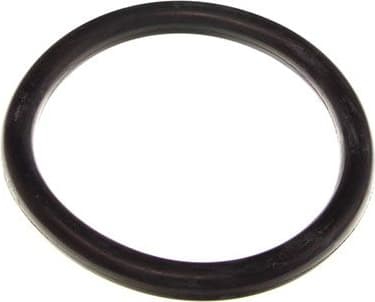 Gasket, throttle body 70-0175