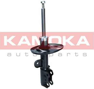 Shock Absorber 2000456