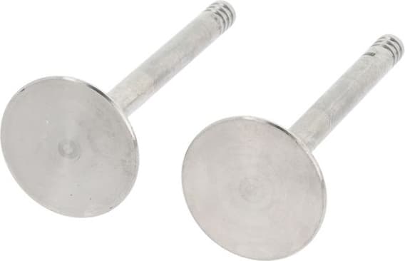 Intake Valve 550839B - image 3