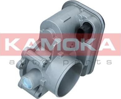 Throttle Body 112050