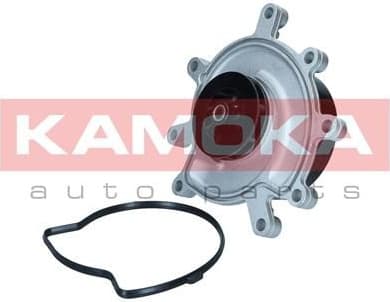 Water Pump, engine cooling T0319