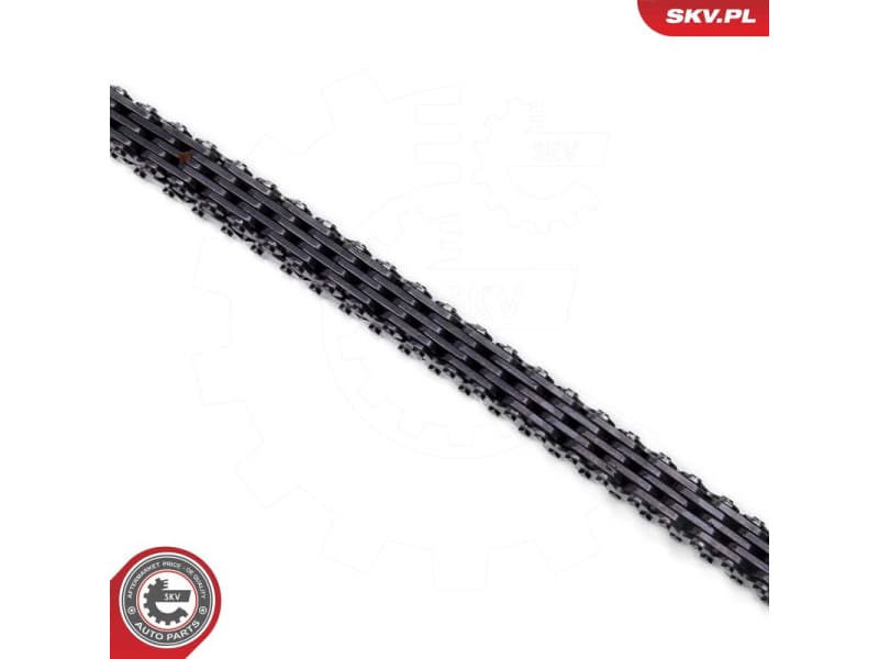 Timing Chain Kit 21SKV262 - image 3