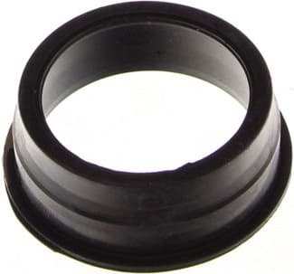 Gasket, oil filler neck cap 70-0161