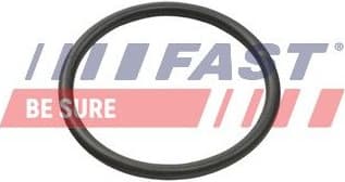 Seal Ring, charge air hose FT49935