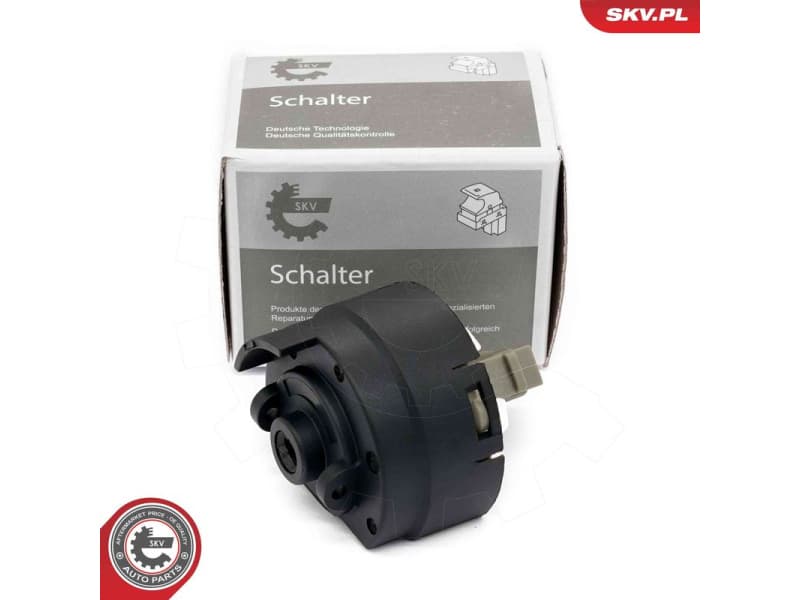 Ignition Switch 65SKV030