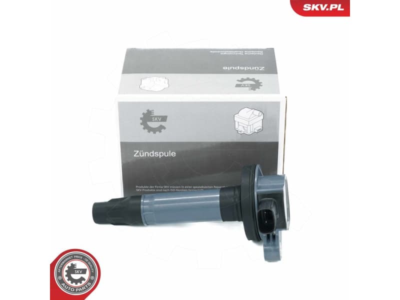 Ignition Coil 03SKV348
