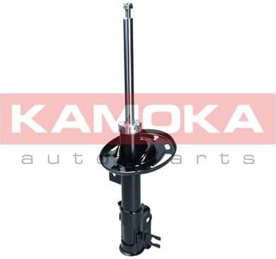 Shock Absorber 2000192