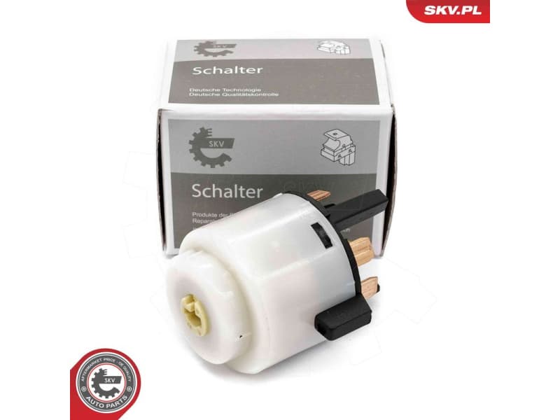 Ignition Switch 65SKV017