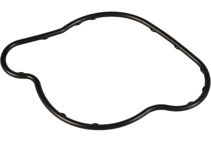 Gasket oil pump 1519327010