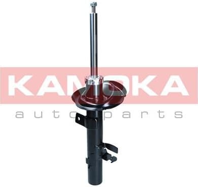 Shock Absorber 2001092