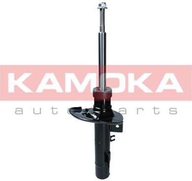 Shock Absorber 2000341