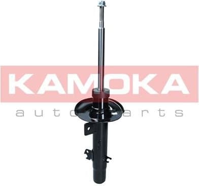 Shock Absorber 2001234