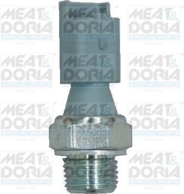 Oil Pressure Switch 72031