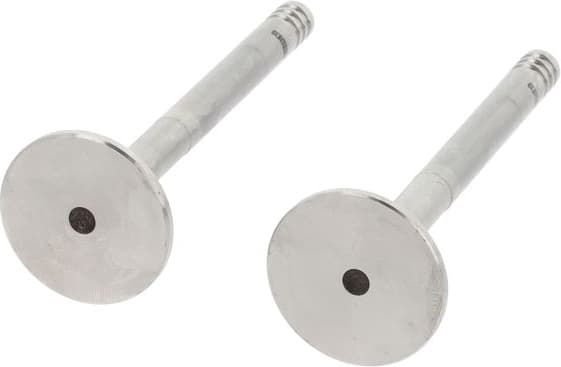 Exhaust Valve 550840B - image 3