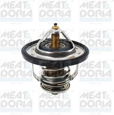 Thermostat, coolant 92795