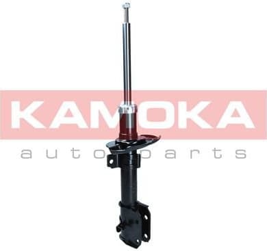 Shock Absorber 2000493