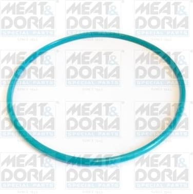 Seal, fuel tank cap GSK01