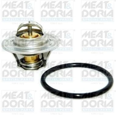 Thermostat, coolant 92185