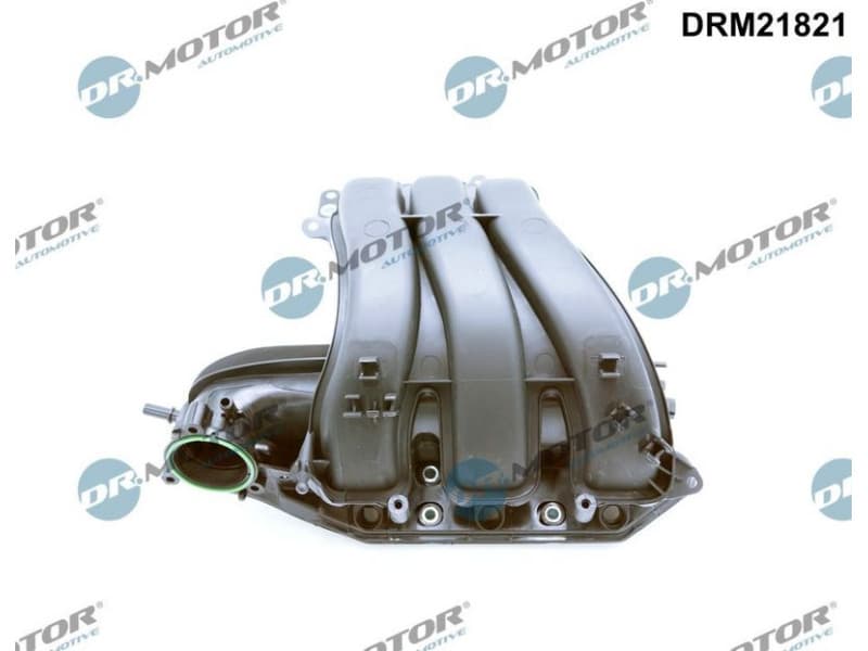 Intake Manifold Module DRM21821