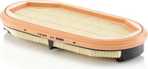 Secondary Air Filter IQORON-V CF 2631