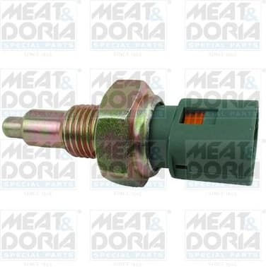 Switch, reverse light 36006