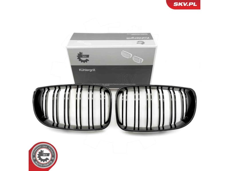 Radiator Grille 66SKV009