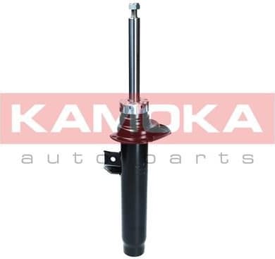 Shock Absorber 2000353