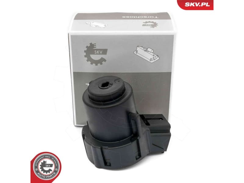 Ignition Switch 65SKV018