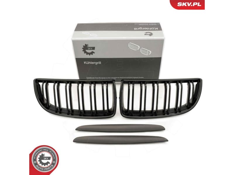Radiator Grille 66SKV091