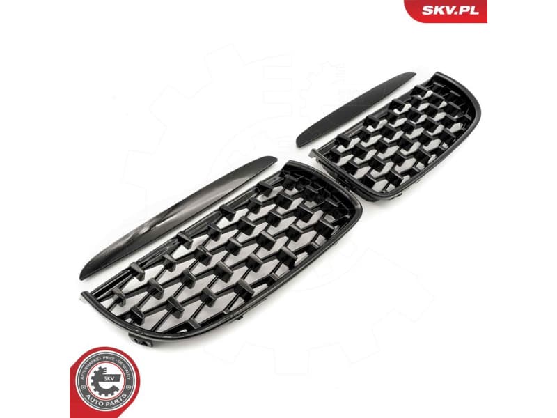 Radiator Grille 66SKV093 - image 2