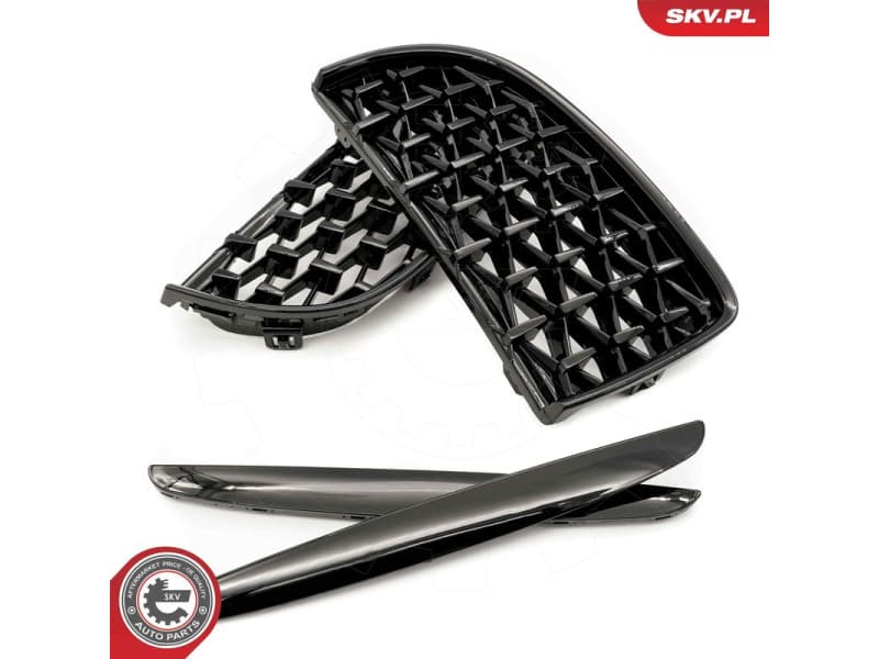 Radiator Grille 66SKV093 - image 5