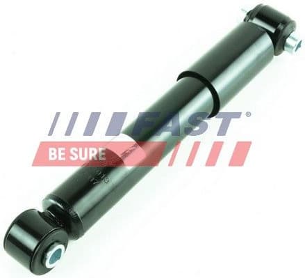 Shock Absorber FT11013