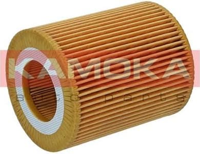 Filter oil F123801 - image 4
