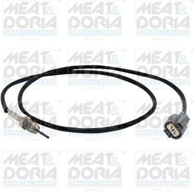 Sensor, exhaust gas temperature 12441