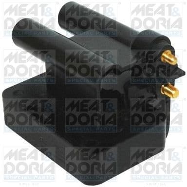 Ignition Coil 10686