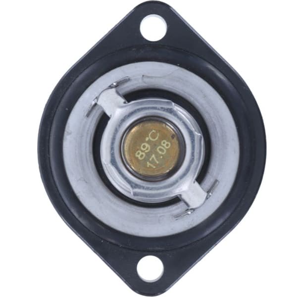 Thermostat 438-89K - image 2