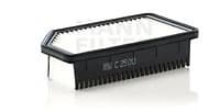 Air Filter C25013