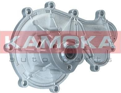 Water Pump, engine cooling T0317