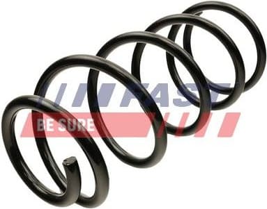 Suspension Spring FT12292