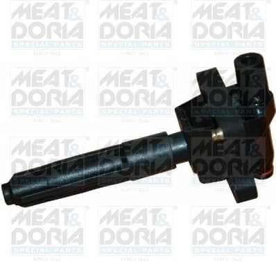 Ignition Coil 10369